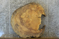 side_image_1